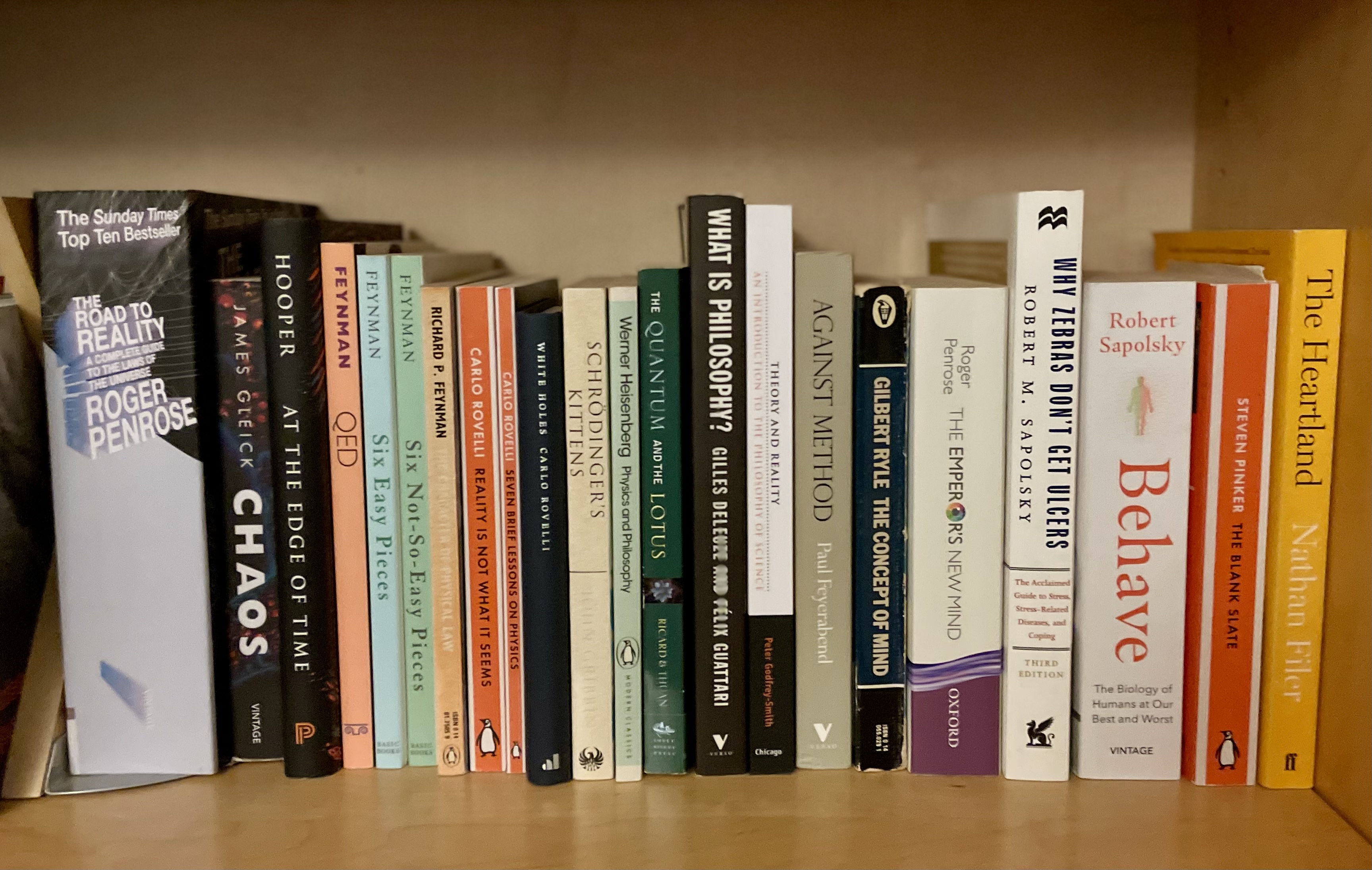 Abstract brain illustration